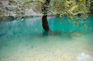 fontaine1